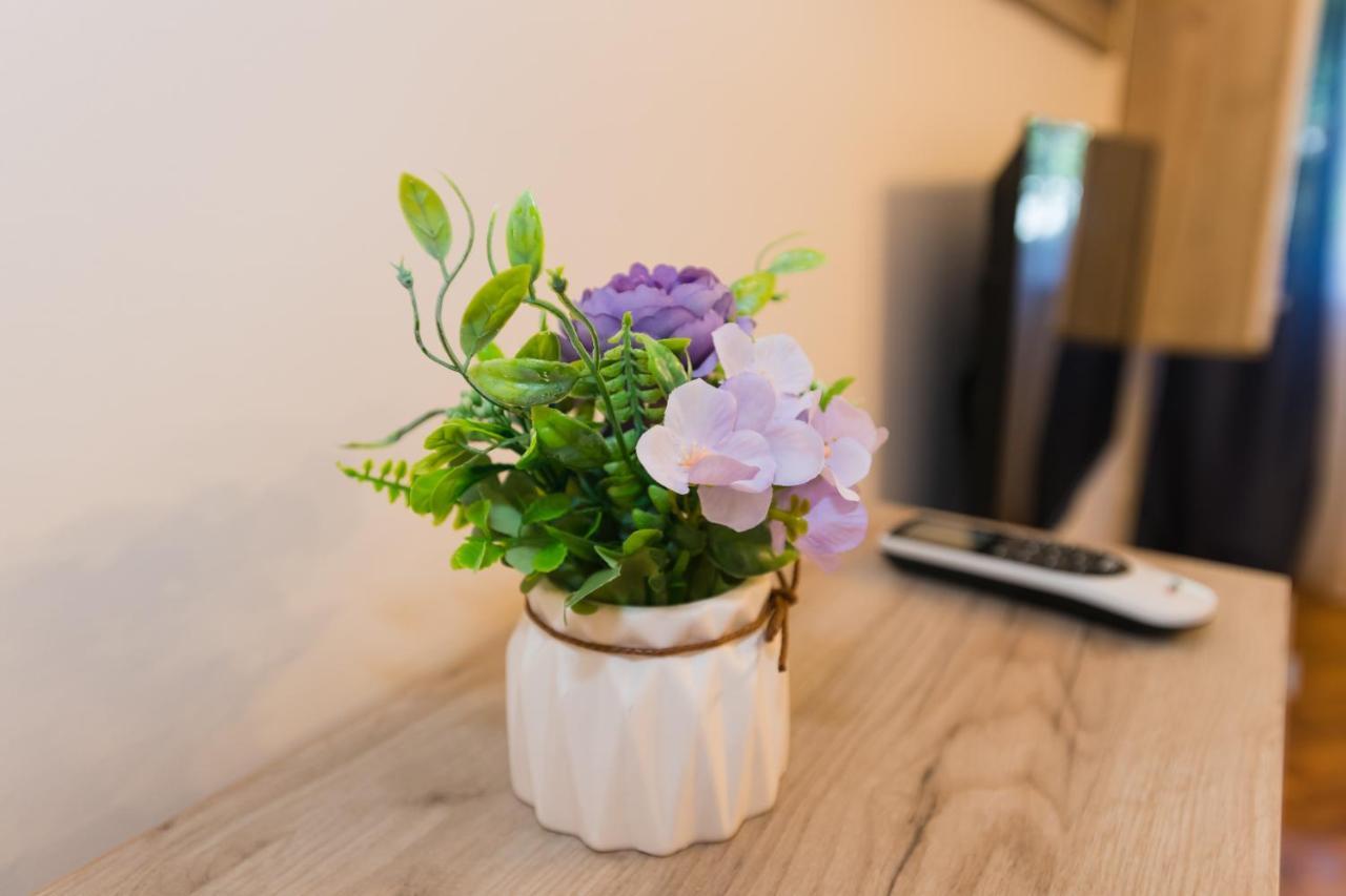 Apartman Studio Blue Σουμπότικα Εξωτερικό φωτογραφία